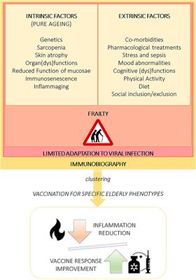 Frontiers | Covid-19 Pandemic: Maximizing Future